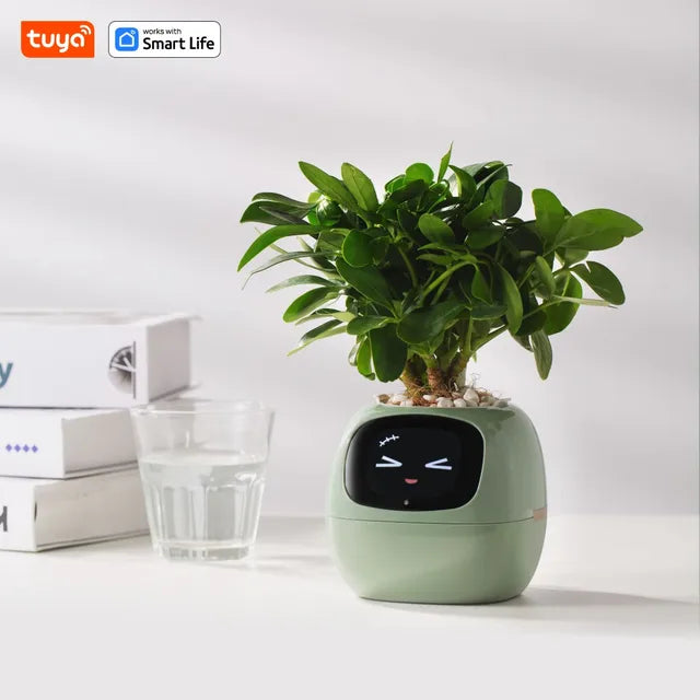  Smart Planter,Endless Fun over 49 Rich Expressions