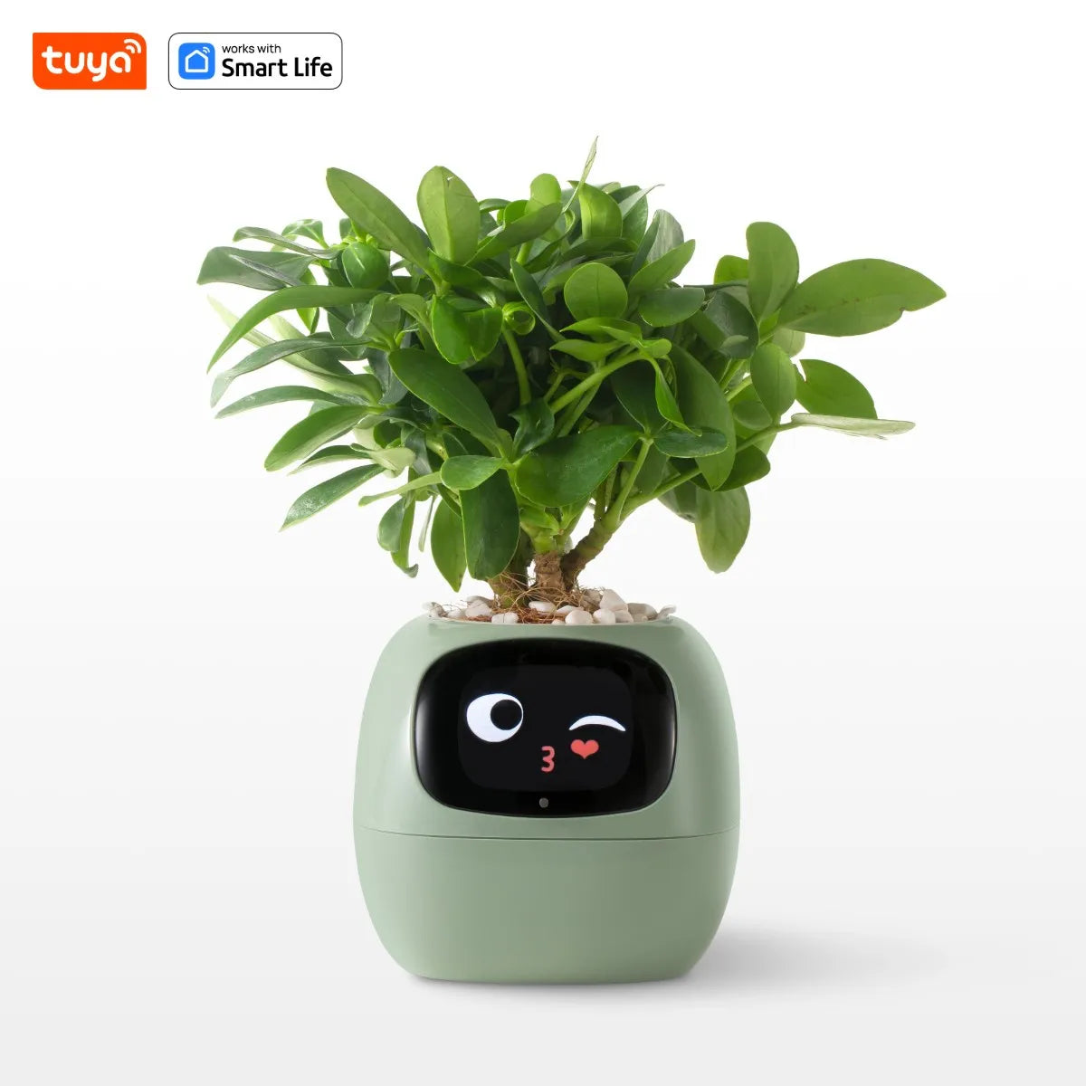  Smart Planter,Endless Fun over 49 Rich Expressions