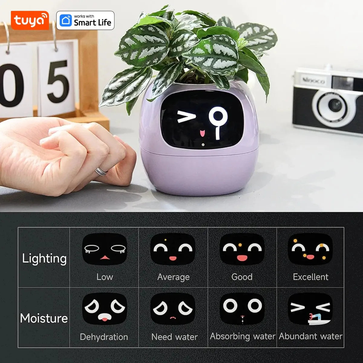  Smart Planter,Endless Fun over 49 Rich Expressions