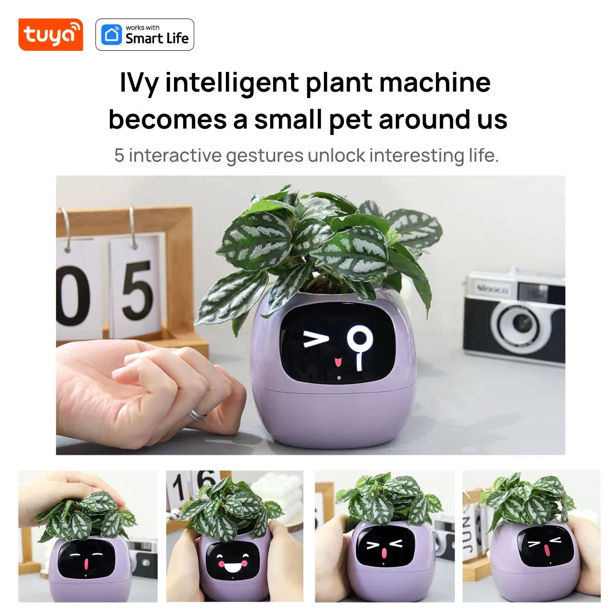  Smart Planter,Endless Fun over 49 Rich Expressions